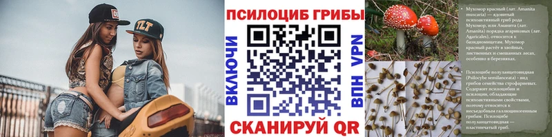Галлюциногенные грибы Psilocybine cubensis  гидра ONION  Медвежьегорск  закладки 